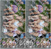 Evenement foto: Serie HL 2
