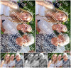 Evenement foto: Serie HL 2