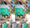 Evenement foto: Serie EA 189