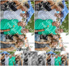 Evenement foto: Serie EA 189