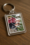 Evenement foto: Serie EA 195