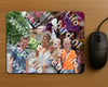 Evenement foto: Serie EA 195