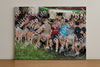 Evenement foto: Serie EA 195