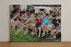 Evenement foto: Serie EA 195