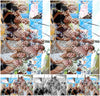 Evenement foto: Serie EA 195