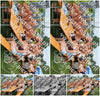 Evenement foto: Serie EA 195