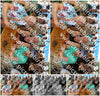 Evenement foto: Serie EA 195