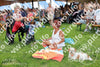 Evenement foto: Serie EA 196