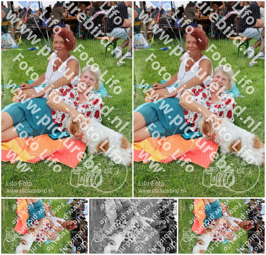 Evenement foto: Serie EA 196