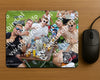 Evenement foto: Serie EA 196