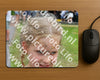 Evenement foto: Serie EA 198
