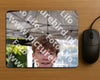 Evenement foto: Serie EA 187