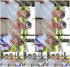 Evenement foto: Serie EA 187