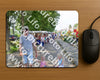 Evenement foto: Serie EA 188