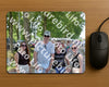 Evenement foto: Serie EA 188