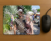 Evenement foto: Serie EA 188