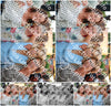 Evenement foto: Oosterblokker Serie 3