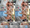 Evenement foto: Oosterblokker Serie 3
