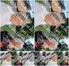 Evenement foto: Oosterblokker Serie 3