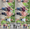 Evenement foto: Serie 340