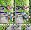 Evenement foto: Serie 341