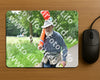 Evenement foto: Serie 342