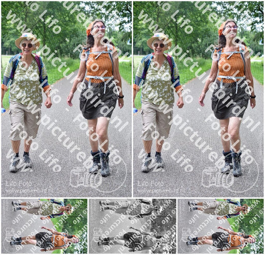 Evenement foto: Serie 342