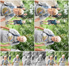 Evenement foto: Serie 388