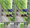 Evenement foto: Serie 388
