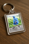 Evenement foto: Serie 388