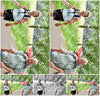 Evenement foto: Serie 388