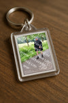 Evenement foto: Serie 389