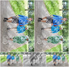 Evenement foto: Serie 389