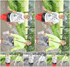 Evenement foto: Serie 389