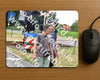 Evenement foto: Serie 339