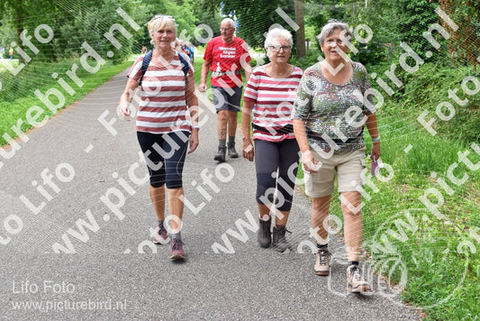 Evenement foto: Serie 339