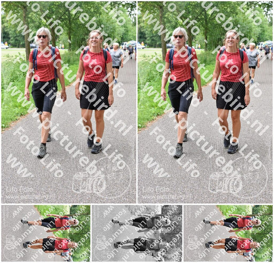 Evenement foto: Serie 339