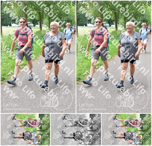 Evenement foto: Serie 339