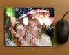 Evenement foto: Avond van Andijk Serie 210