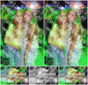 Evenement foto: Avond van Andijk Serie 428