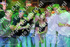 Evenement foto: Avond van Andijk Serie 428