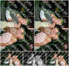 Evenement foto: Avond van Andijk Serie 431