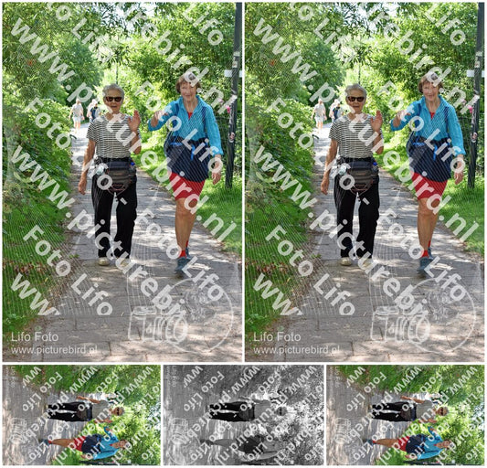 Evenement foto: Utrecht City Walk Serie 390