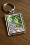 Evenement foto: Utrecht City Walk Serie 390