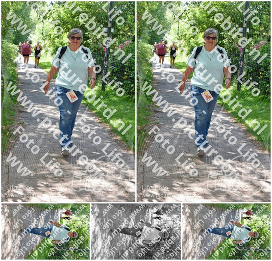 Evenement foto: Utrecht City Walk Serie 390