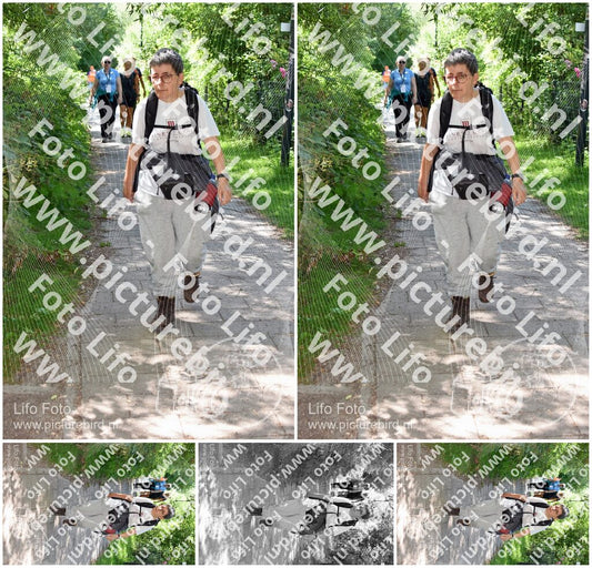 Evenement foto: Utrecht City Walk Serie 390