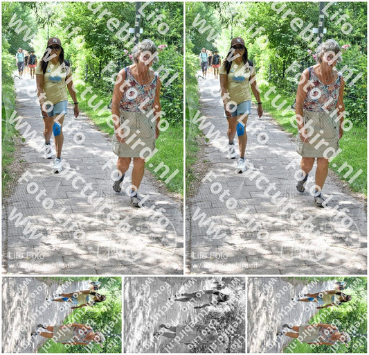 Evenement foto: Utrecht City Walk Serie 391