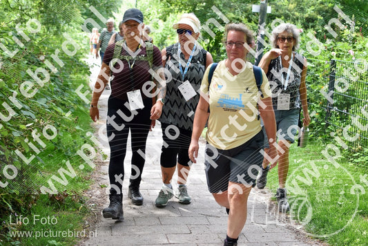 Evenement foto: Utrecht City Walk Serie 391