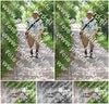 Evenement foto: Utrecht City Walk Serie 391