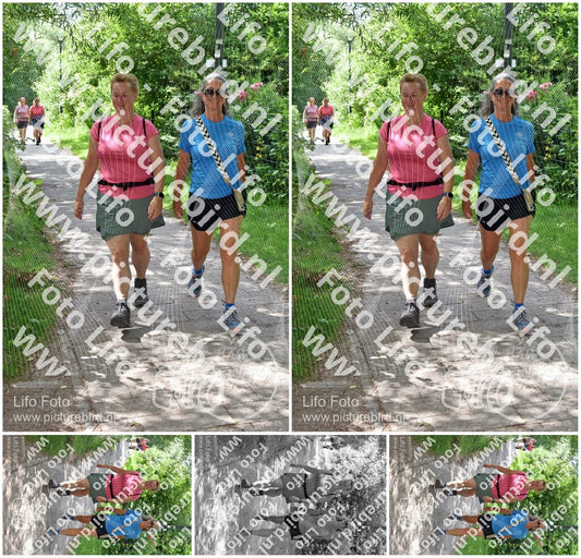 Evenement foto: Utrecht City Walk Serie 391